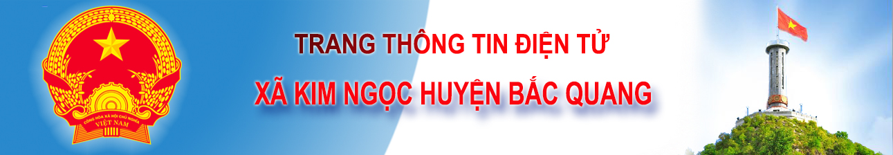 image banner